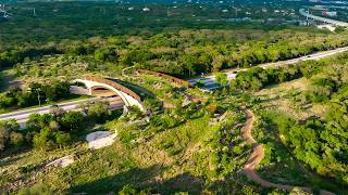 What Trail Cameras Found On The World's First Human-wildlife Crossing