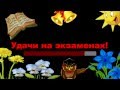 Песня для поздравления выпускников школы! 