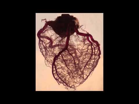 " On s'enlize " par Les Zakariens feat Mesa Kizito,Papy Fredo ,Dyru Et Baab Waan