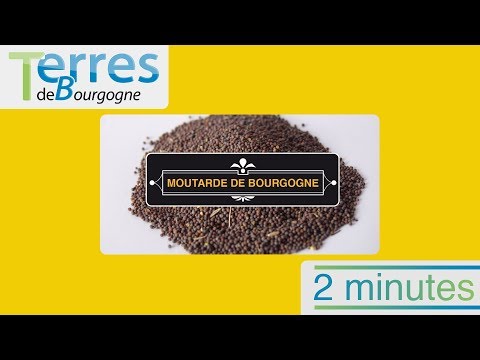 2 minutes Moutarde de Bourgogne