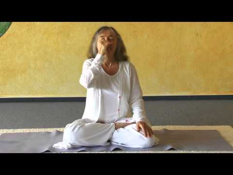 download lagu mp3 mp4 Pratiloma, download mp3 Pratiloma free download, download mp3 Pratiloma