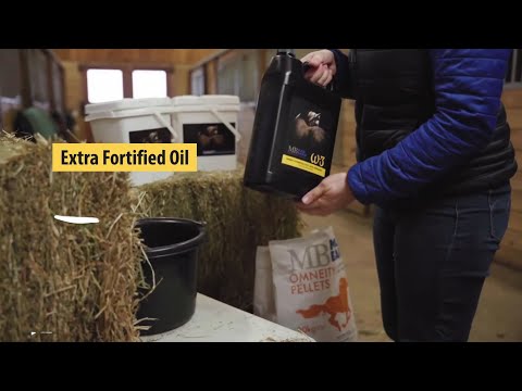 W3 Oil - DHA Essential Fatty Acid Supplement for Horses