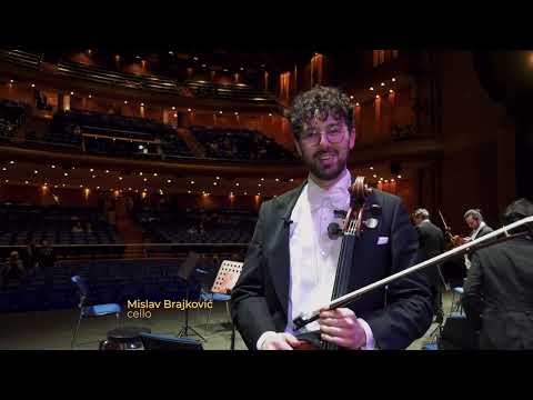 Gallery image 1: Vienna Strauss Philharmonie Orchestra