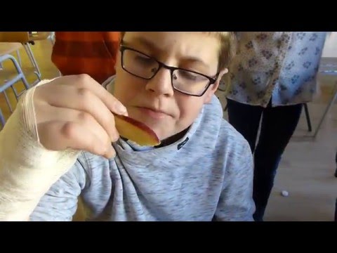 Naša trieda žije zdravo