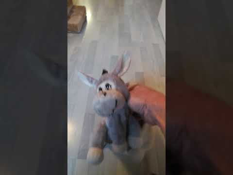 Best Frieda of the world