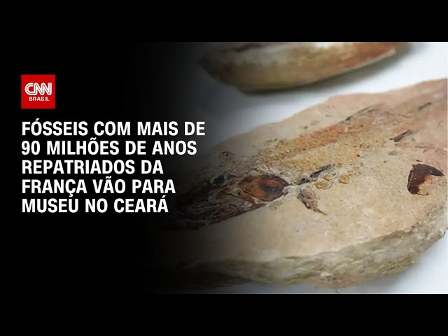 Fósseis com mais de 90 milhões de anos repatriados da França vão para museu no Ceará | LIVE CNN