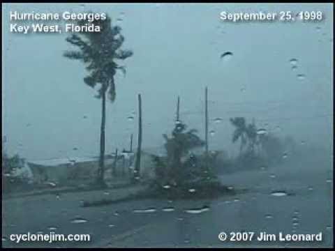 stock footage hurricane winds thrash palm trees full hd x p shot on sony ex