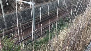 MNRTTV鉄道日記 2021年2月18日