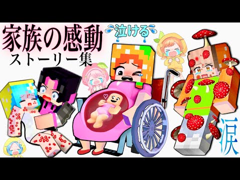 【#ぴこみんず の泣ける感動ストーリー】マイクラドラマ/ママが死んでしまった/記憶喪失/捨て子からお金持ち/赤ちゃんと妊婦/病気と手術/