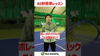 【忙しい人向けテニスレッスン】ボレーのテイクバックはなぜダメなのか？〈ぬいさんぽテニス（Tennis）〉 #テニス #テニスレッスン #tennis #ぬいさんぽ