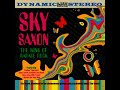 Sky Saxon ⭐The King Of Garage Rock ⭐ Wild Thing⭐ ((*2008*))