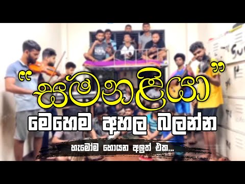 සමනළියා මෙහෙම අහල බලන්න #samanaliya song cover #sinhalasongs #sinhalasongscover #cover