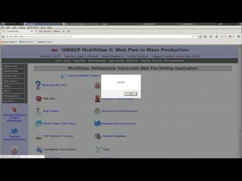 OWASP Multidae Tutorials - Running XSS Injection in the UserAgent