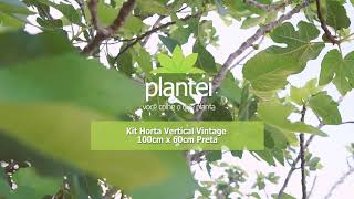 V&iacute;deo do produto