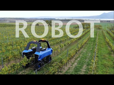 Robot VITIBOT BAKUS L | Full autonomous and electric vineyards robot