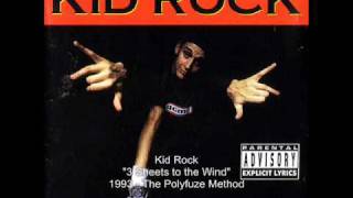 Kid Rock - 3 Sheets to the Wind