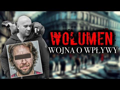 WOLUMEN | MAFIJNA  ŻYŁA ZŁOTA | GRUPA ŻOLIBORSKA | SZYMON Z ŁOMIANEK | SZKATUŁA