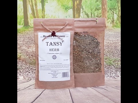 Tansy Herb (Tanacetum vulgare L.) Health Embassy