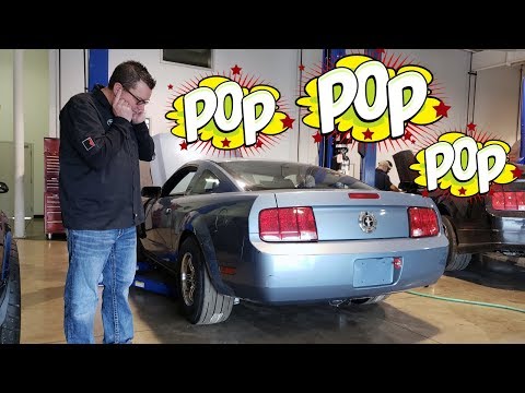 Coyote Swap Mustang THE MSD TWO STEP so awesome at Brenspeed Behind The Scenes