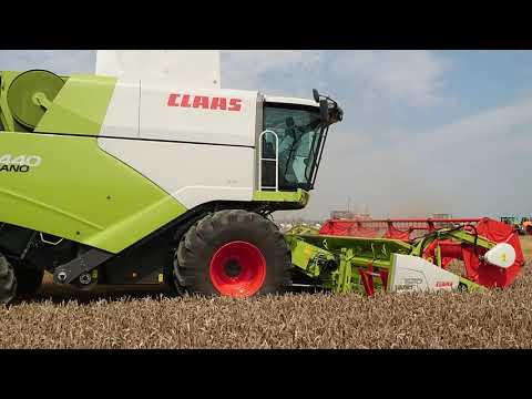 Demonstratie URSA MARE, 2019 DULCESTI - NEAMT