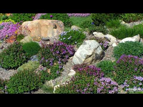 Ohangla Mix (Mae Ndalo)