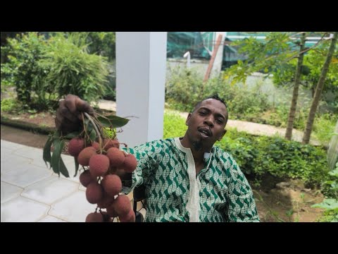 MI ENFOU ZOT TOUTE🪔/ DRILL MUSIC /KAMÉ974/ ROI 💯 COURONNE 