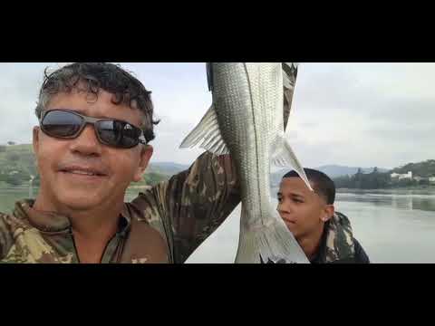 (17/05/2026) Pequeno robalo na isca artificial. São Fidélis RJ. 