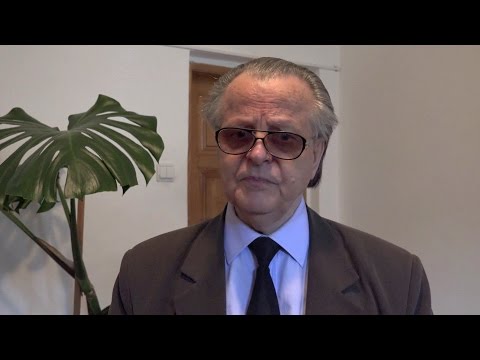 Zece ani de promovare a valorilor Fundației „Credință și creație” - Interviu realizat cu Acad. Alexandru Zub