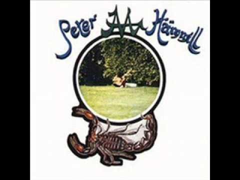 Peter Hammill - In The End