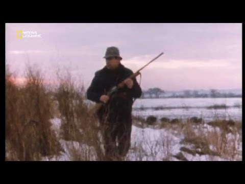 essex boys doc  the blundells