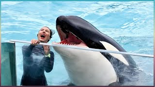 Moments When Things Went Wrong !