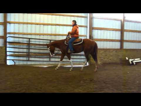 HEAVENS REAL DEAL a.k.a. Dealer