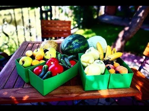 Duminica Zurli - Piata Zurli