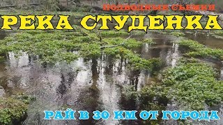 Ссылка