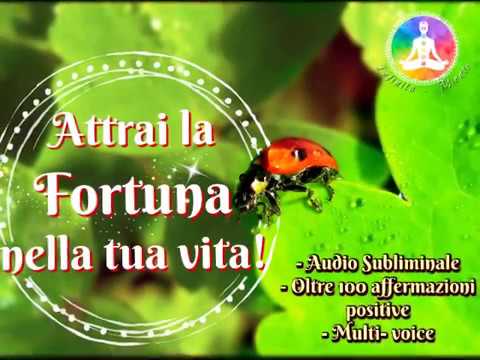 Come definiscono parassiti per nascita I vermi a un gatto come può partire