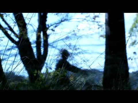 GTC AMBER ONE AUTOSTRADA A1 COMMERCIAL TRAILER