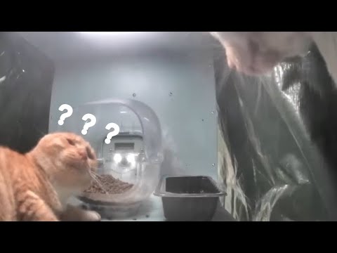 Mr.fresh was severely beaten up