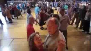 Stringrays Fall has Sprung 2013 Contra Dance   iPhone