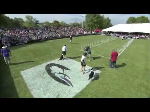 2014 IDC National Championships - 30-Weave Up-and-Back