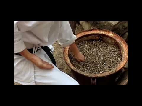 Home Alone Goju Ryu Karate