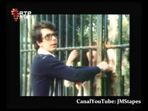 AI SE A LUZIA - BANDA DO CASACO