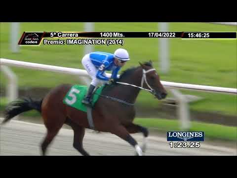 220417 c05 ALGARROBO