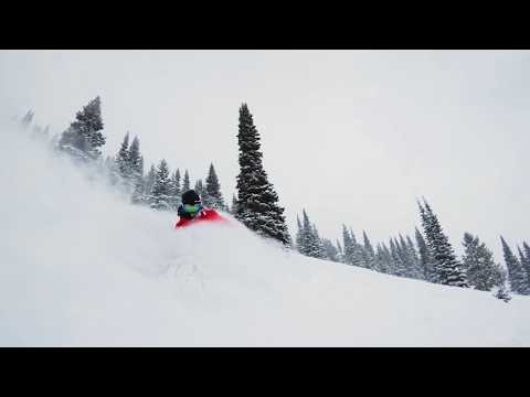Powder for Days