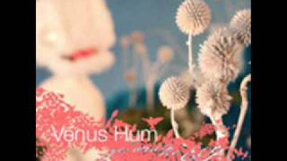 Venus Hum - Montana (New Ground remix)