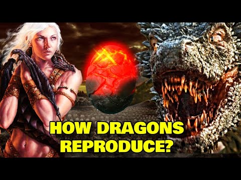 Targaryen Dragons Anatomy Explored – What's Their Origin, Reproduction, Fire Breathing, & Other Q's!