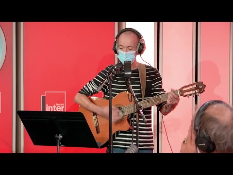 Je me suis fait l'abeille - La chanson de Frédéric Fromet