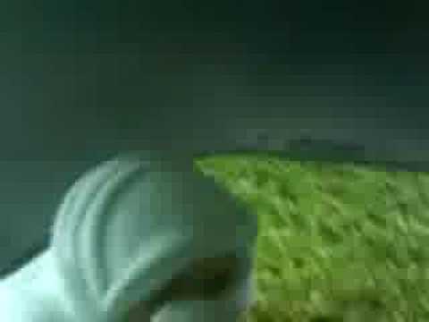 Muslim Bow In The Car