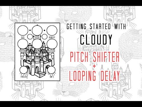 Tomkat Cloudy V1 Granular Delay image 7