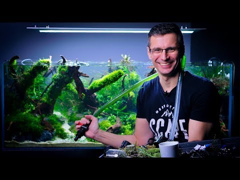PLANTED TANK MAINTENANCE - SHAPING JOSH SIM'S AMAZING AQUASCAPE