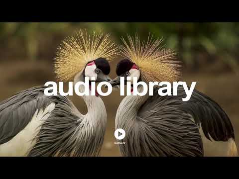 Club - Andrew Huang | No Copyright Music YouTube - Free Audio Library